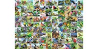 Ravensburger - Casse-tête 99 charmants oiseaux 300 pièces