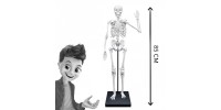Buki Franche - Squelette géant 85 cm
